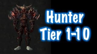 Hunter Tier Sets 1 to 10 Guide World of Warcraft [upl. by Anaej]