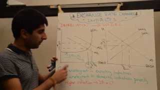 Impact of Exchange Rate Appreciations and Depreciations with Evaluation [upl. by Eiralav795]