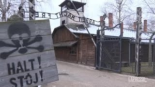 Shoah ad Auschwitz i sopravvissuti celebrano il Giorno della Memoria [upl. by Mariand771]