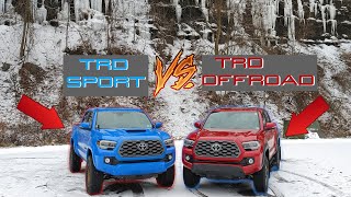 Tacoma TRD Sport VS Tacoma TRD Offroad [upl. by Slin]