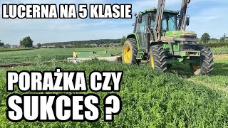 JAK NAPRAWDĘ WYGLĄDA LUCERNA W PIERWSZYM ROKU [upl. by Neelehtak]