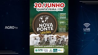 NOVA PONTE LEILÕES AO VIVO  NOVA PONTE MG [upl. by Cassady]