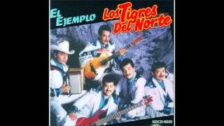 Los Tigres del Norte  El Tamal [upl. by Isa554]