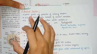 Accessory Glands of Male Reproductive system in Hindi Neet 2023 Accessory Ducts Class12 HSC Biology [upl. by Sammons921]