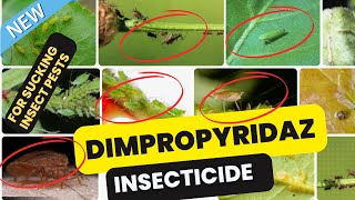 Dimpropyridaz Insecticide Effective Control of Sucking Pests in Crops [upl. by Lubow59]