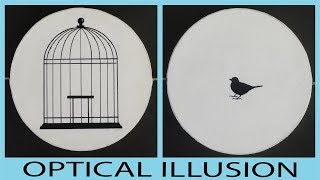 Bird and Cage Thaumatrope  Optical Illusion [upl. by Pimbley]