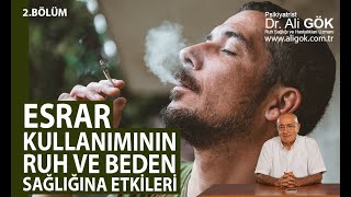 Esrar Kullanımının Ruh ve Beden Sağlığına Etkileri  2Bölüm 25 [upl. by Ong]