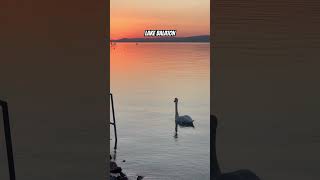 Sunset over Lake Balaton balaton hungary camping camperlife shortvideo [upl. by Reube]