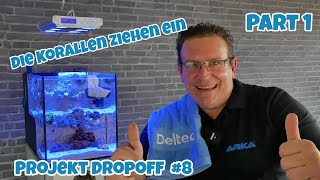 📢Wir bauen ein Meerwasser Aquarium ⭐Projekt Dropoff Tank 8⭐ [upl. by Eidob442]