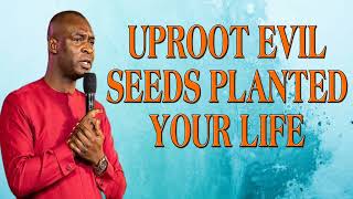 UPROOT EVIL SEEDS PLANTED YOUR LIFE AND DESTINY WITH THIS POWERFUL PRAYER APOSTLE JOSHUA SELMAN [upl. by Aynos]