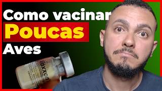 Como VACINAR poucas GALINHAS corretamente Qual a diluição adequada PASSO A PASSO [upl. by Hilton]