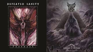 Defeated Sanity  The Mesmerizing Light Full Guitar Playthrough [upl. by Adihsar305]