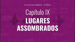 Capítulo IX  Parte 2  LUGARES ASSOMBRADOS  Audiobook de quotO Livro dos médiunsquot [upl. by Naimaj734]