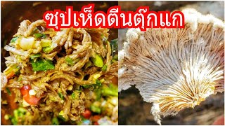 ซุบเห็ดตีนตุ๊กแกเห็ดแครง Splitgill mushrooms recipe Schizophyllum commune [upl. by Fitzsimmons]