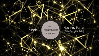 Tessela  Hackney Parrot Bifta Junglist Edit Free Download [upl. by Minda]