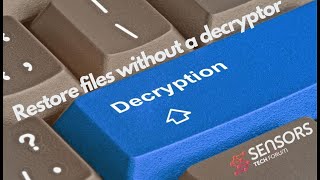 Restore Files Encrypted by Ransomware No Decryptor [upl. by Locklin299]