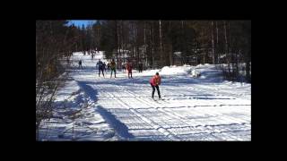 Vasaloppet 2013 crashes cut Risberg vurpor HD [upl. by Lipfert]