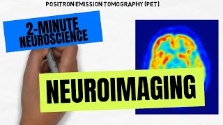 2Minute Neuroscience Neuroimaging [upl. by Ludlew]