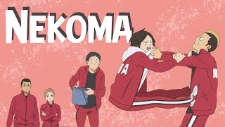 Meanwhile in Nekoma  Haikyuu TikTok Compilation [upl. by Wadell]