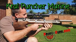 Afrikaans review of the KRAL Puncher Breaker Bullpup Walnut Marine 55mm [upl. by Naujd]