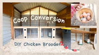 DIY Chicken Brooder Box Chicken Coop Reno [upl. by Bortman]