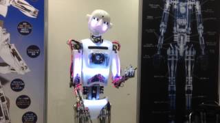 Robot Exhibition Tokyo quotiRexquot 2013 [upl. by Goldenberg]