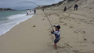 3 year old catching 6kg salmon from the beach [upl. by Now]