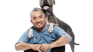 Cesar 911 S02E12 Nani Nightmare [upl. by Tommie35]