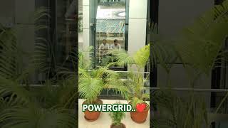 Lift Powergrid Manesar Chandni song chandni cricket shorts short shortvideo shortsvideo [upl. by Jenn]