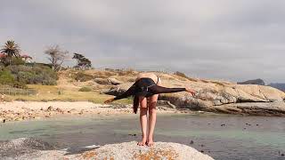 Yoga at Boulders Beach [upl. by Carlye]