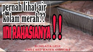 RAHASIA RAMUAN PROBIOTIK RWS LELERed Water Sistem [upl. by Suoicerp470]