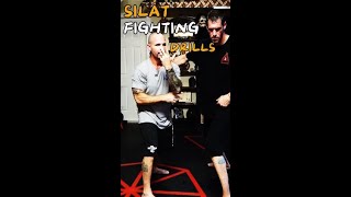 SILAT FIGHTING Drills For Beginners [upl. by Midan344]