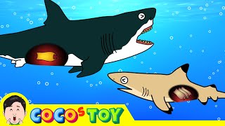 The blacktip shark raised megalodon eggㅣwhales amp sharks for kidsㅣCoCosToy [upl. by Eednim]