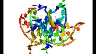 The original Gquadruplex structure [upl. by Ashby]