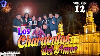 ☆Characatos del amor ✔ MIX RAULITO SALAZAR 2016 oficial☆ [upl. by Neirbo]