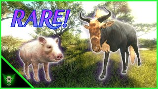 Brand New Rares ALBINO Peccary and CROWNED Wildebeest theHunter Call of the Wild [upl. by Garrett]