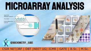 Microarray Analysis [upl. by Rehportsirhc455]