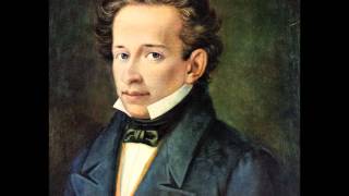 Le ricordanze G Leopardi  voce Roberto Herlitzka [upl. by Yelrihs680]