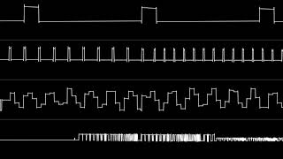 Jonne Valtonen and Aleksi Eeben  quotProject S11  Ekans Desertquot Oscilloscope View [upl. by Hgielrebma584]