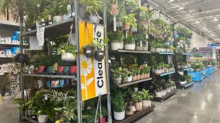 LOWES CLEARANCE HOUSEPLANTS AND GARDEN ACCESSORIES🤑PLANTS STARTING AT 1 amp 75 OFF GREENHOUSES🪴🛒 [upl. by Hareenum]