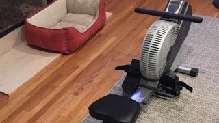 Stamina ATS Air Rower Review [upl. by Eirhtug27]