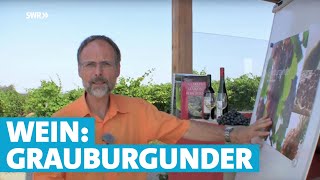 Werner erklärt Wein Grauburgunder [upl. by Maxy]