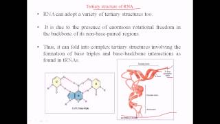 RNA structure  tertiary structure [upl. by Senilec41]