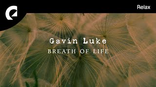 Gavin Luke  Gone [upl. by Ruder]