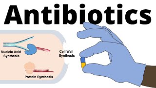 Antibiotics  Mechanisms of Action Classification and Antibiotic Resistance [upl. by Edniya183]