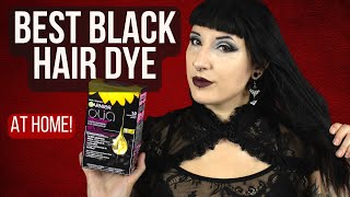 HOMEMADE 20 min Hair Dye for Instant BLACK HAIR  Color White Hair to Black Naturally  Priya Malik [upl. by Teufert]