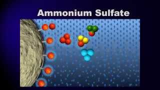 Bioprocessing Part 3 Purification [upl. by Goles141]