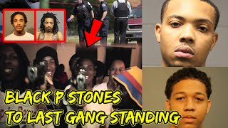 The Story of NLMB From Black P Stones To Last Gang Standing [upl. by Adalard]