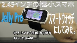 スマートウォッチ？サイクリング用ナビスマホ？245インチの極小スマホ「Jelly Pro」のGPS精度を検証 [upl. by Gavrielle]