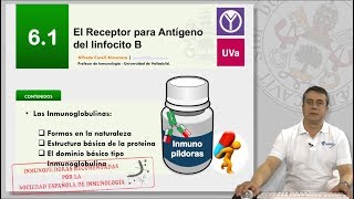 61 EL RECEPTOR PARA ANTÍGENO DEL LINFOCITO B [upl. by Haila]